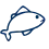 Pangasius
