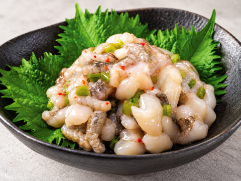 OCTOPUS SMALL CUT (IIDAKO)