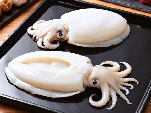 WHOLE CLEAN CUTTLEFISH
