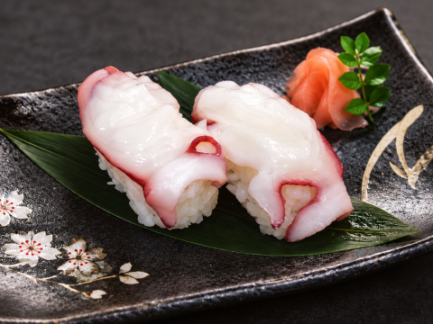 BOILED OCTOPUS SLICE
