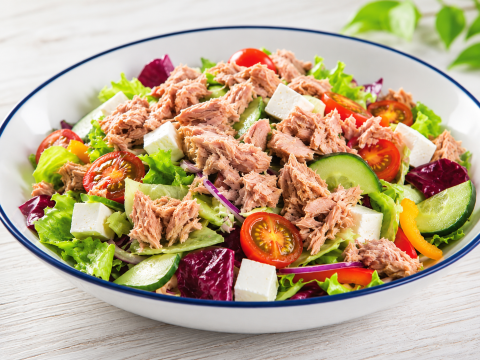 CANNED TUNA