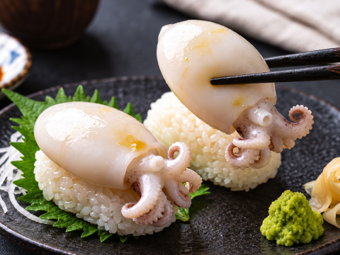 BOILED CUTTLEFISH WHOLE CLEAN
