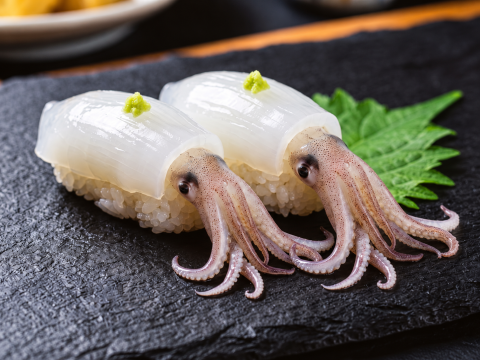 SQUID SUGATA 15g