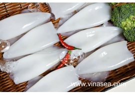 12-frozen-skinless-squid-tube-1024x682