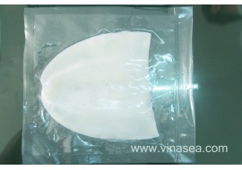 14-frozen-broad-squid-fillet-premium-grade-1024x682