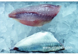 18-frozen-big-eye-scad-fillet-1024x682