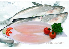 19-frozen-pangasius-fillet-1024x682