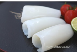 2-frozen-cuttlefish-fillet-roll-1024x682