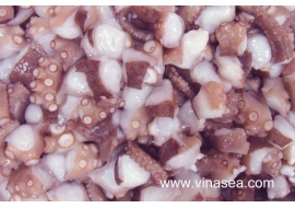 3-frozen-boiled-octopus-cut-iwadako-1024x682