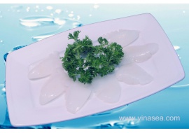 6-frozen-cuttlefish-fillet-flower-cut-1024x682
