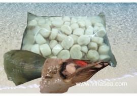 7-frozen-fan-shell-meat-tairagai--1024x683