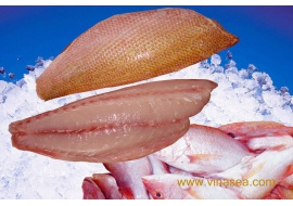 7-frozen-red-snapper-1024x682