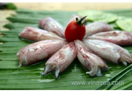 7-frozen-squid-stuffed-1024x682