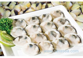 9-frozen-half-shell-white-clam-1024x680