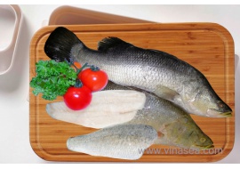 9-frozen-seabass-fillet-1024x682