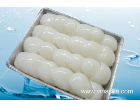 1-frozen-baby-cuttlefish-fillet-1024x682