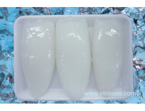 15-frozen-broad-squid-fillet-1024x683