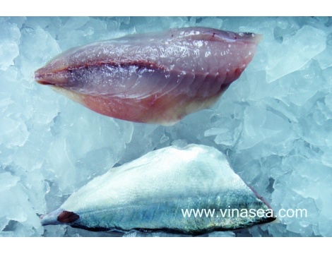 18-frozen-big-eye-scad-fillet-1024x682
