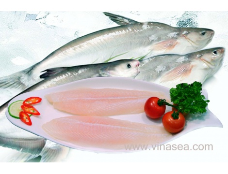 19-frozen-pangasius-fillet-1024x682