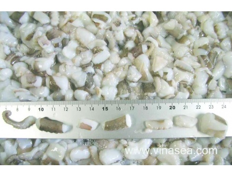 2-frozen-baby-octopus-cut-1024x683