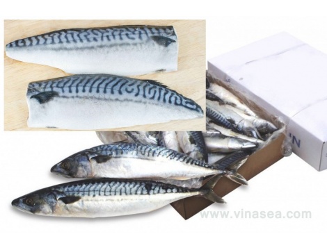 2-frozen-mackerel-kirimi-1024x683_14211