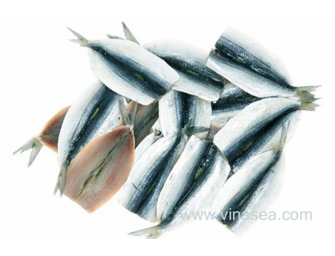 3-frozen-sardine-hiraki