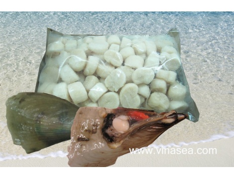 7-frozen-fan-shell-meat-tairagai--1024x683