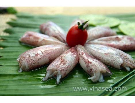 7-frozen-squid-stuffed-1024x682