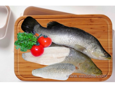 9-frozen-seabass-fillet-1024x682